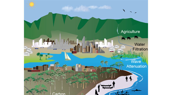 Raising Water Ocean Diagram