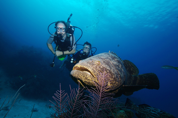 Two of the authors, Doug Rader and Dan Whittle with a goliath grouper. Goliath Grouper