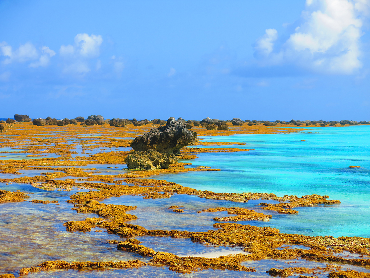 Rocks-that-give-the-name-to-the-atoll.jpg