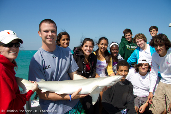 MAST Academy high school students pose with a small Blacknose shark before safely returning it back into the water. Photo by Christine Shepard. Blacknose shark out of water