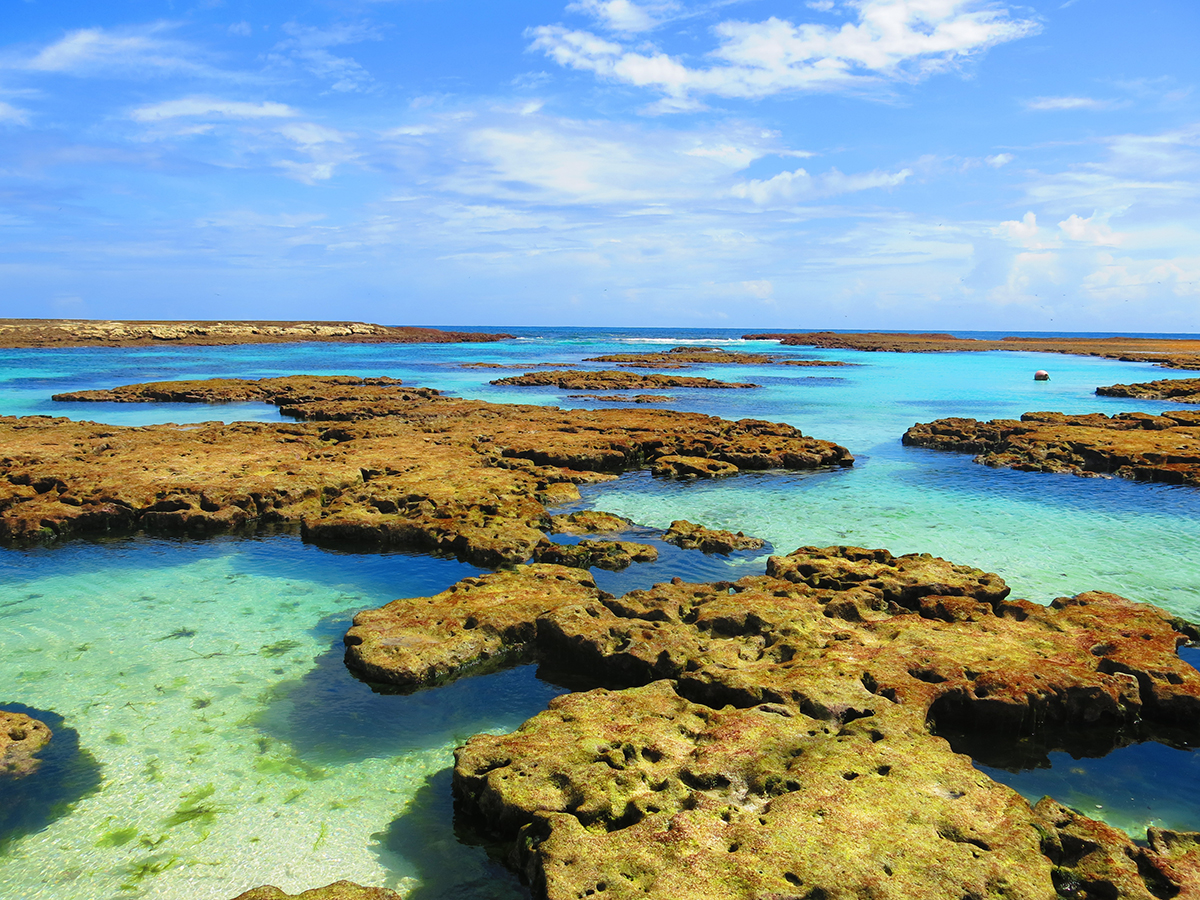 Sailing Toward the South Atlantic Atoll | Sailors for the Sea