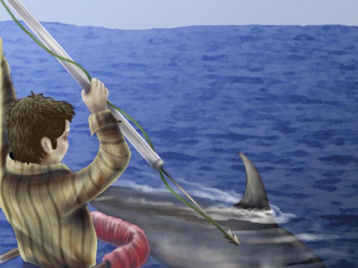 Sustainable Fishing Practices for Sailors