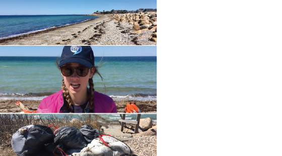 beach cleanup, marine debris, beach, OBR
