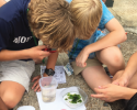 Students discovering what's hiding in their waters! marine science, plankton