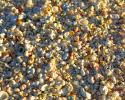 Rocas Atoll is made up of crustose calcareous algae which breaks down to form carbonate sand – that looks very different than the fine sand we are accustomed to. Photo credit: Barbara Pinheiro Rocas Atoll, carbonate sand
