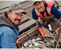 Commercial and sustainable salmon fishing in Bristol Bay