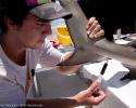 Graduate student Austin Gallagher drawing blood from a shark to test for toxins and stress levels. Photo by Christine Shepard. Drawing shark blood test