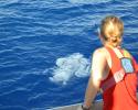Christina Dykeman looks on as a very large piece of plastic lining floats by in the middle of the North Pacific Subtropical Gyre. Photo credit: Kellie Jensen gyre, ocean trash, trash in ocean, Great Pacific garbage patch, plastic pollution, ocean pollution, plastic in ocean