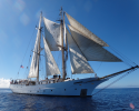 Under full sail is the SSV Robert C. Seamans, the 134-foot brigantine upon which I embarked on two trans-Pacific scientific research expeditions. Photo credit: Mike Gil rans-Pacific, scientific, research, expeditions, Robert C. Seamans, sailing vessel,