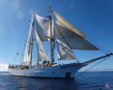 rans-Pacific, scientific, research, expeditions, Robert C. Seamans, sailing vessel, 