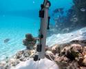 Sampling water with a Niskin Bottle, surrounding the instrument, you can see the crustose calcareous algae that makes Rocas Atoll so unique. Photo credit: Tiago Albuquerque crustose calcareous algae, Niskin Bottle, underwater, coral, fish, scientific instrument, algae