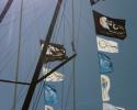 The Battle Flags are up at the most sustainable regatta in the US! Atlantic Cup
