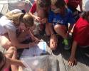 Students learned how to track data from plastic pollution previously collected on the beach. plastic data research on the dock
