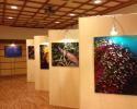 Public exhibit on MPAs and ocean conservation Public exhibit
