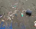 Beach next to regatta site prior to clean up prior to clean up