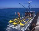 Five gliders are able to fit onto a relatively small boat compared to a traditional research vessel, enabling costs to be greatly reduced. Photo credit: Liquid Robotics Liquid Robotics, Seagoing Robot, Wave Glider, Water Robot, Ocean Robot, Fishery Monitoring