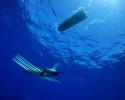 From underwater, you can view the submersible glider that powers the robot. When a wave passes, its force is larger at the surface then at depth which causes the surface float to pull upward on the submersible glider, placing tension on the cable that connects the two shifting the angle of the wings of the submersible glider. When in a wave trough, the cable slackens giving gravity a chance to create momentum, propelling the glider forward. Photo credit: Liquid Robotics Liquid Robotics, Seagoing Robot, Wave Glider, Water Robot, Ocean Robot, Fishery Monitoring