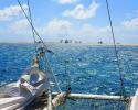 The Borandá stays anchored on a buoy about 100 meters from the entrance of the atoll, and all the landing and exchange of teams is done with a dinghy. Photo credit: Barbara Pinheiro The Borandá, mooring, anchor, dinghy