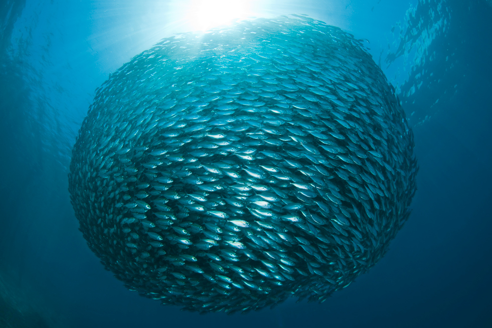 The swarf from the bore! r/Machinists